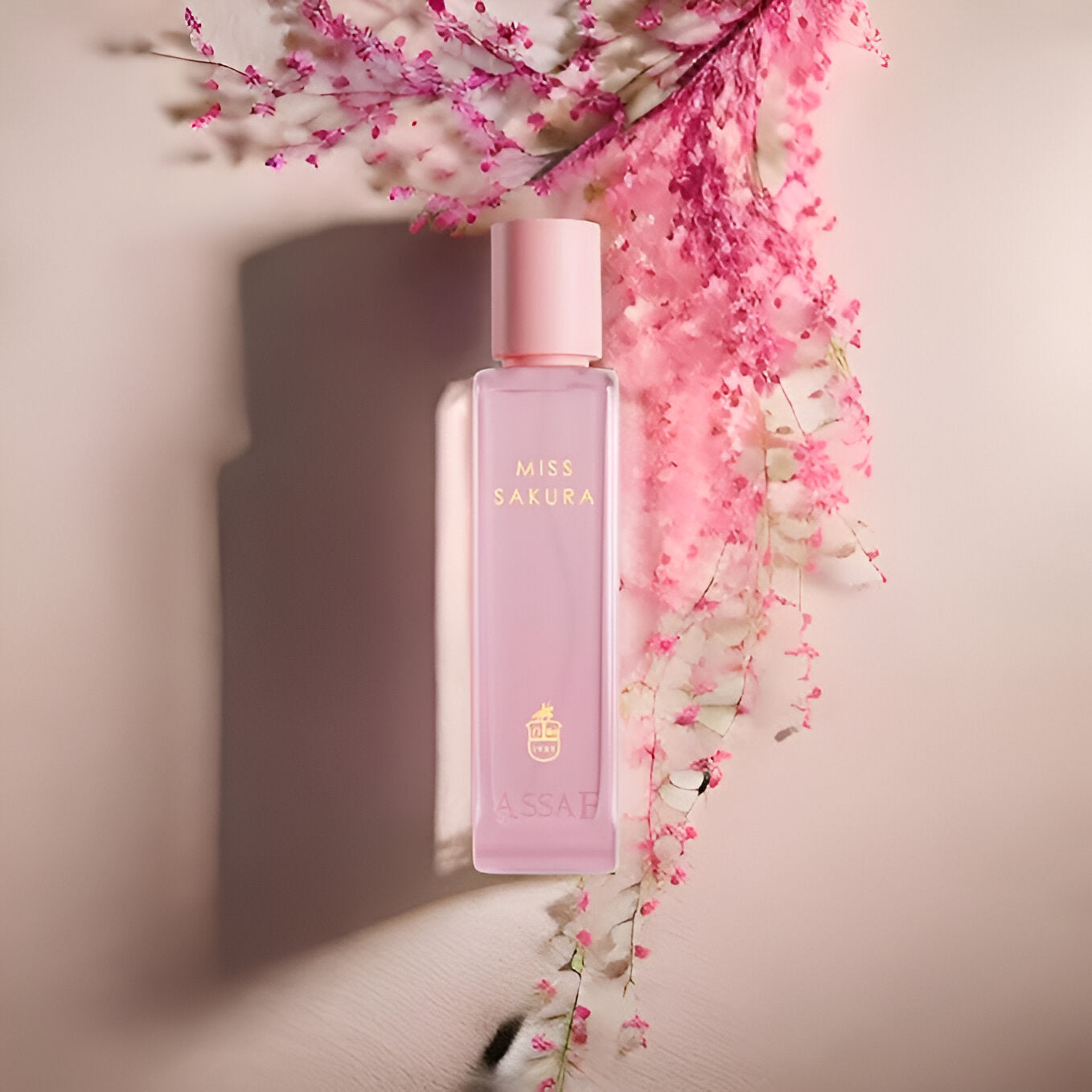 Parfum ASSAF women female 