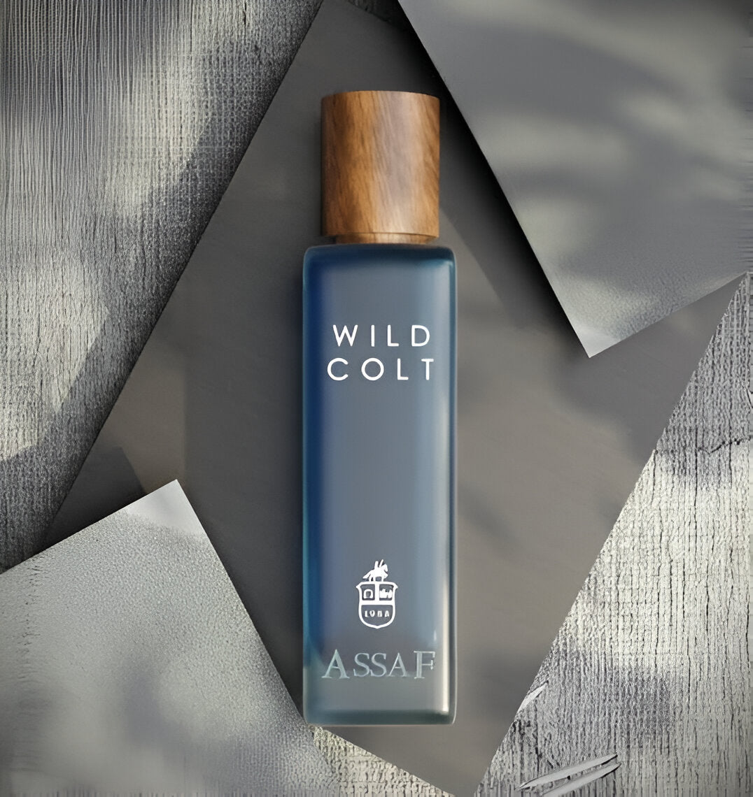 ASSAF Wild Colt