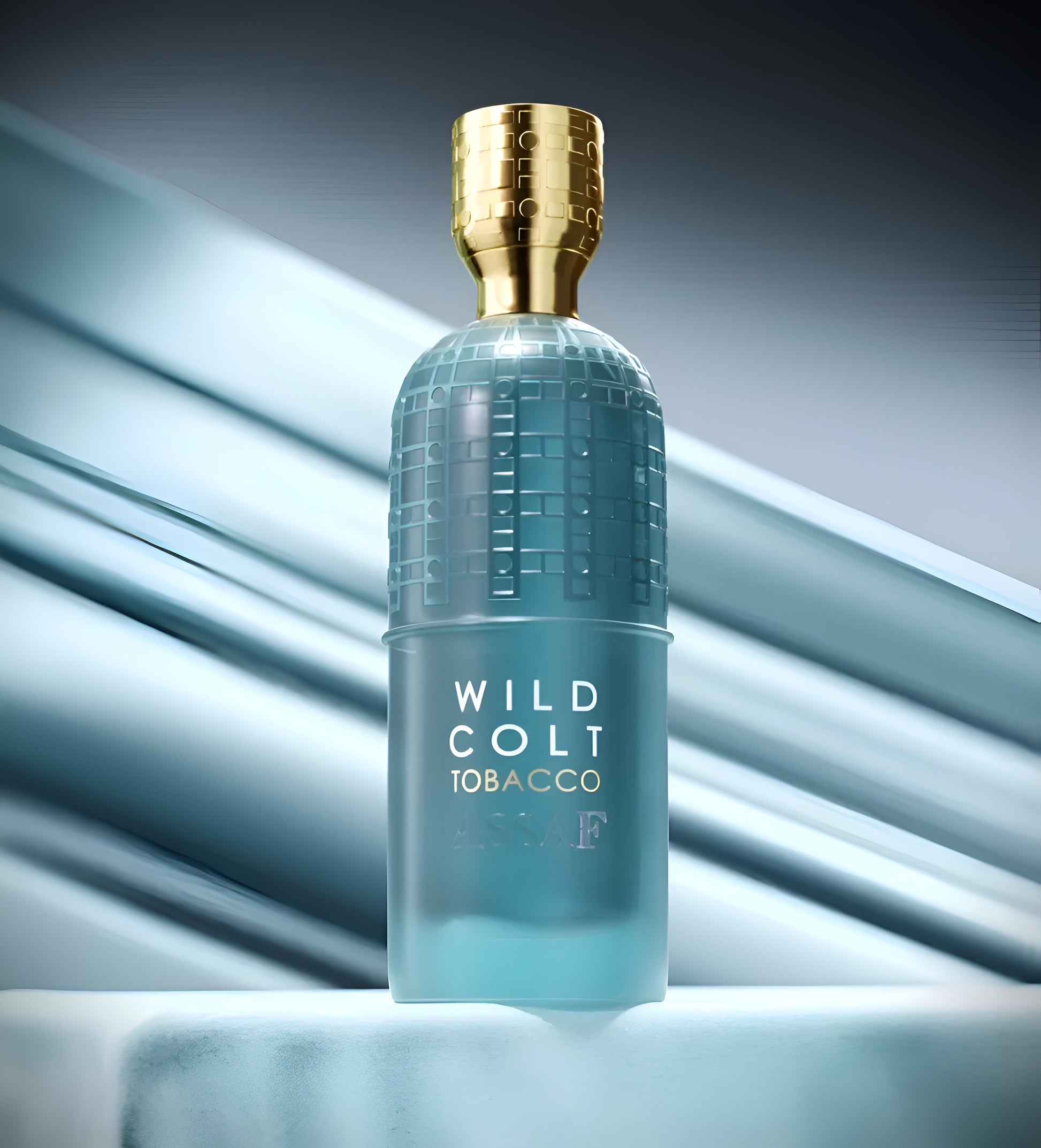 ASSAF wild colt parfum 